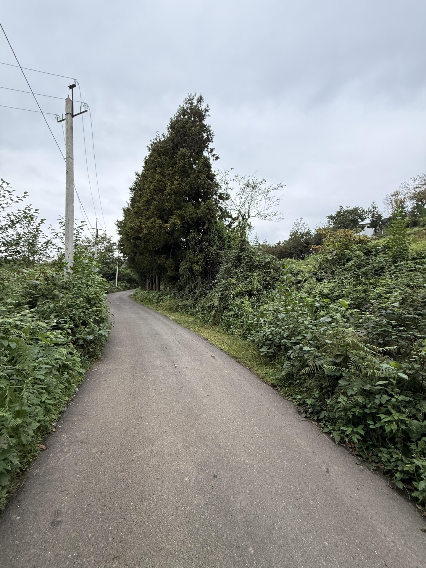 Land For Sale In Chakvi, 3,293 M² For $247,000 view 7