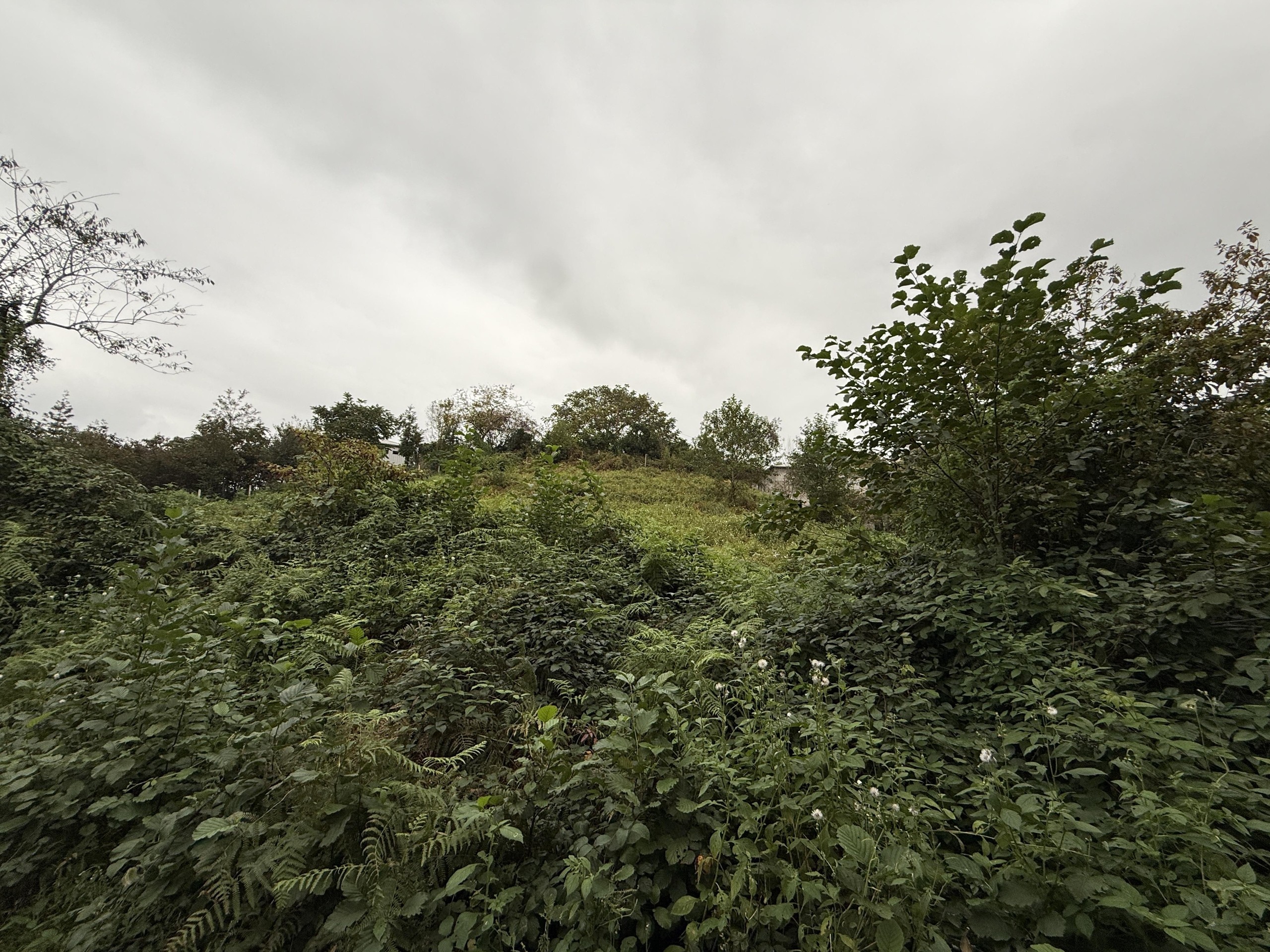 Land For Sale In Chakvi, 3,293 M² For $247,000 view 8