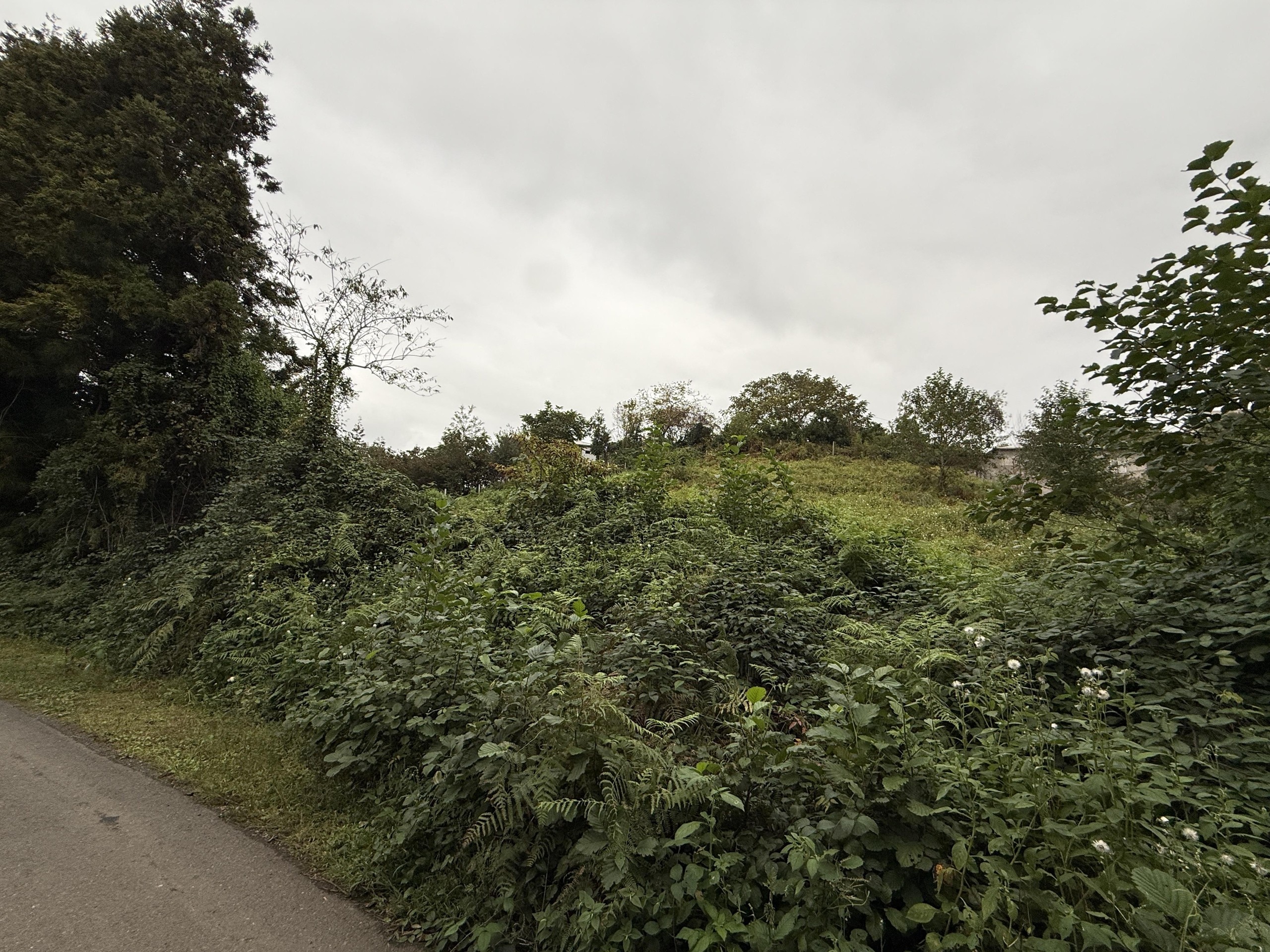 Land For Sale In Chakvi, 3,293 M² For $247,000 view 2