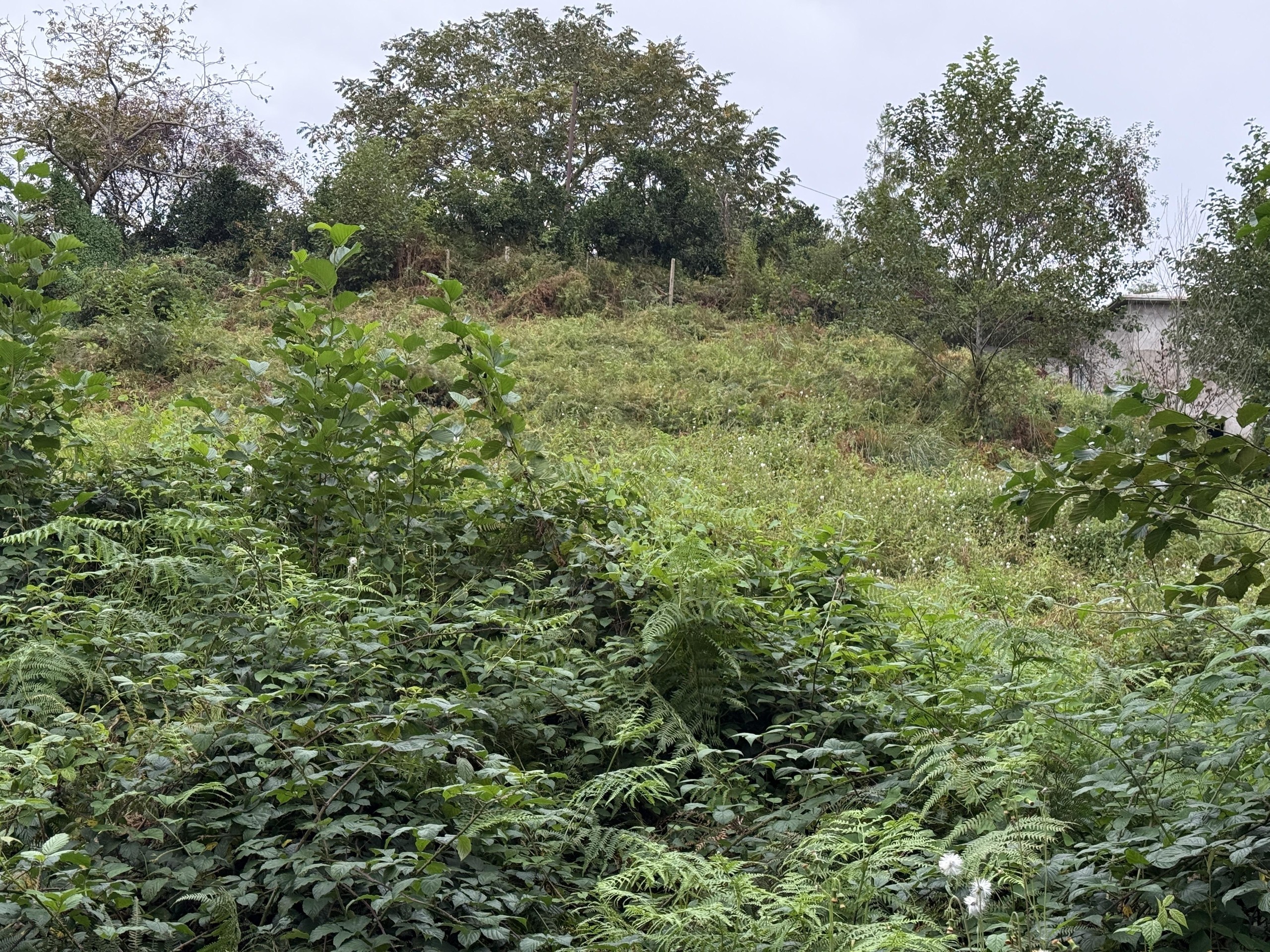Land For Sale In Chakvi, 3,293 M² For $247,000 view 5