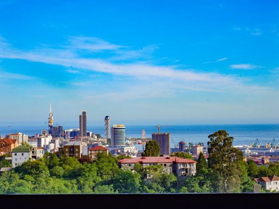 2-Room House In Batumi, Qadir Shervashidze Ascent, 20, 80 M², Is Available For Daily Rent For 250 ₾ view 11