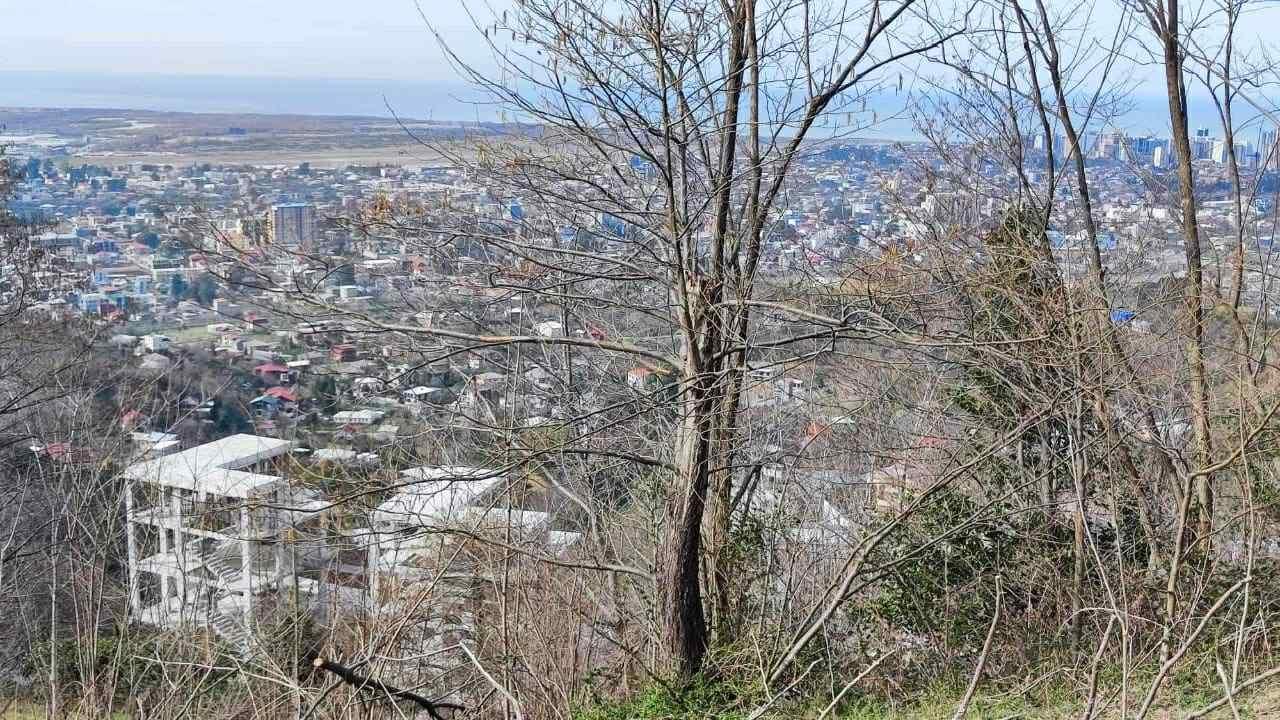 Land For Sale In Batumi, 4,000 M² For $520,000 view 10