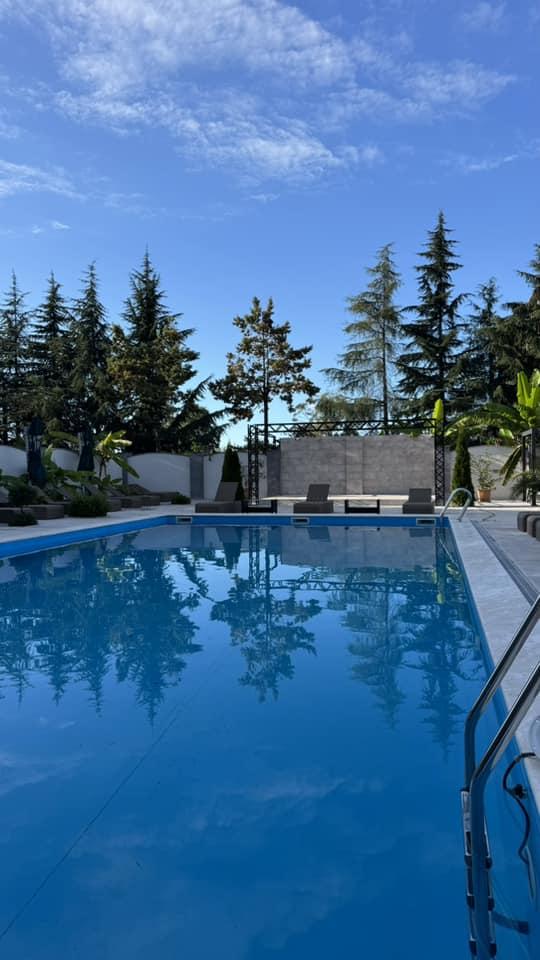 Commercial Property For Sale: 750 M² In Batumi, Israpil Jincharadze 1st Lane, 9 – $3,000,000 view 10