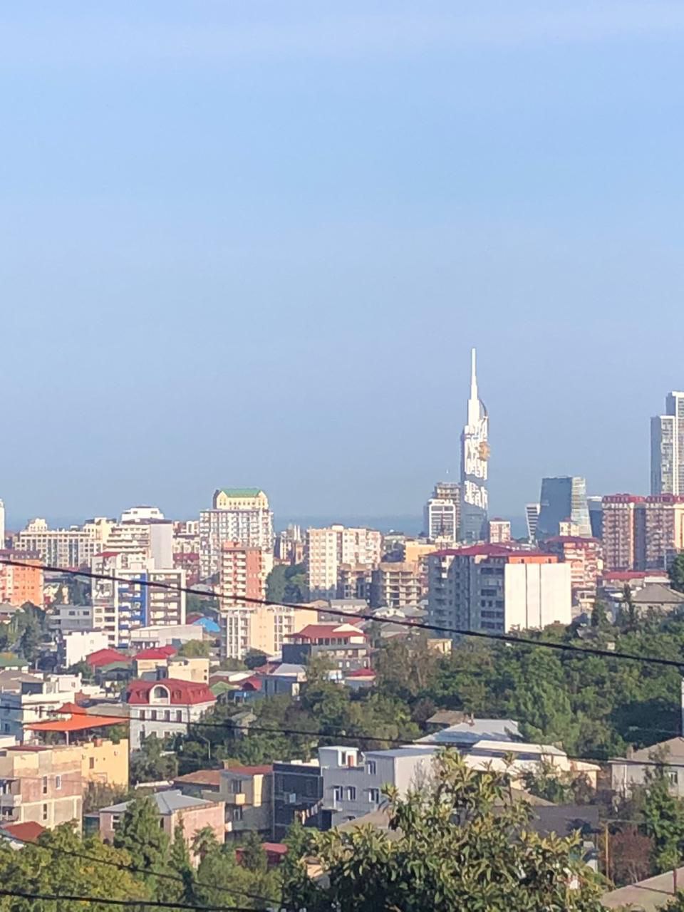 3-Room Country House For Sale In Batumi, 31, Didgoris 1-Li Chasakhvevi view 8