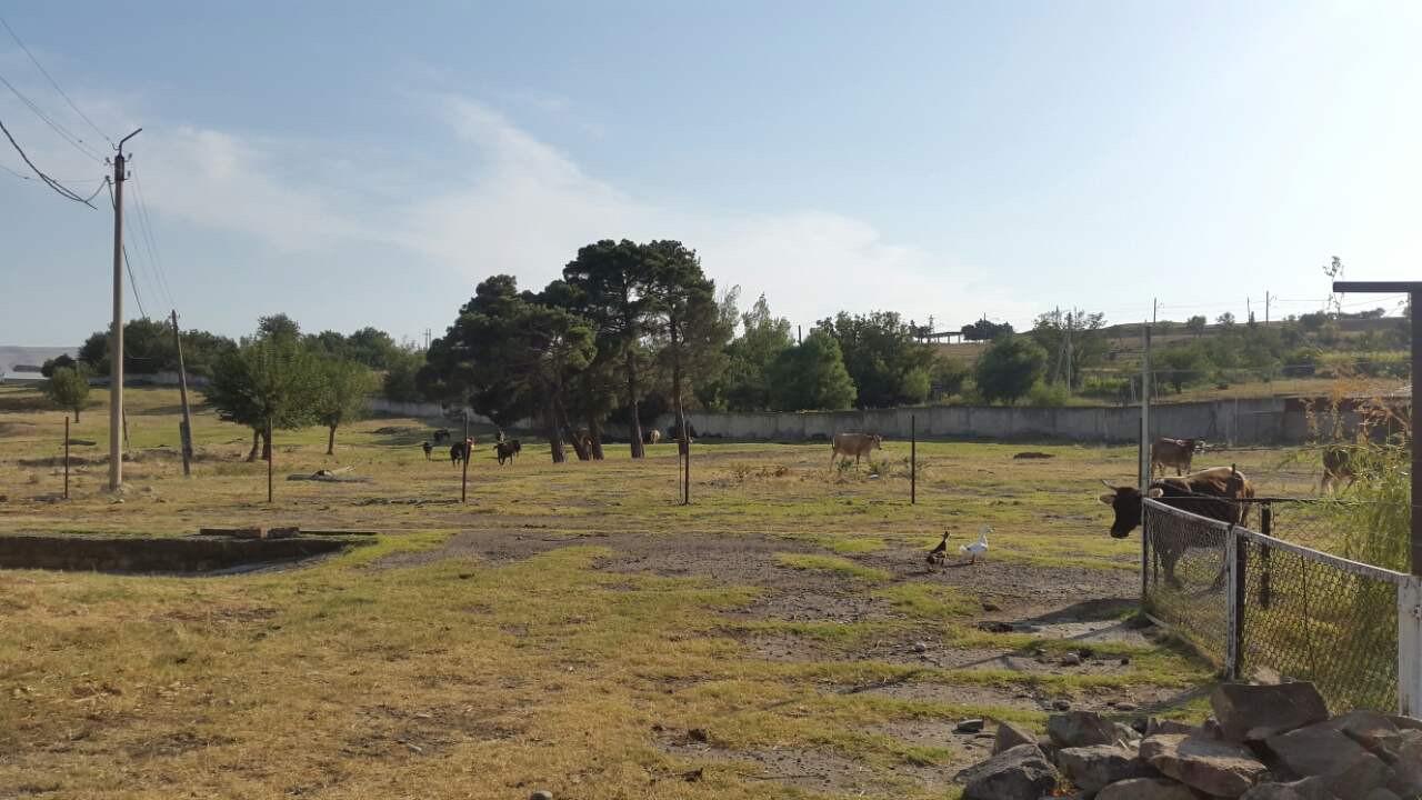 Ponichala, 3: Plot, None M² | Korter.Ge view 7