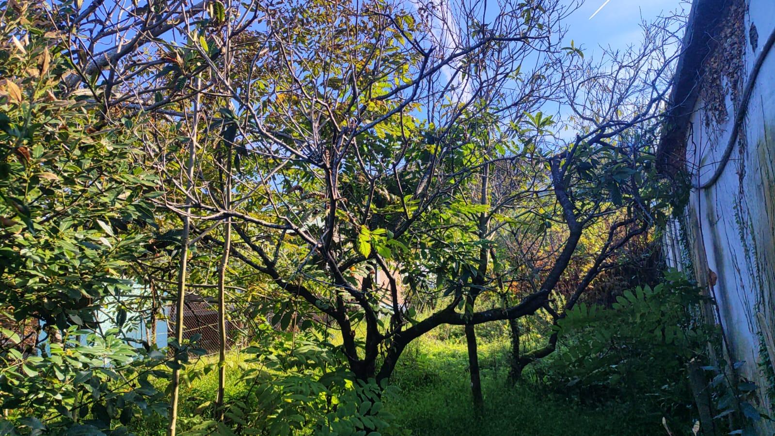 Land For Sale In Chakvi, 460 M² For $190,000 view 2