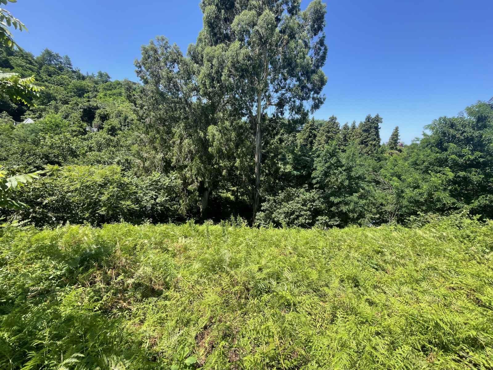 Land For Sale In Batumi, 979 M² For $97,900 view 2
