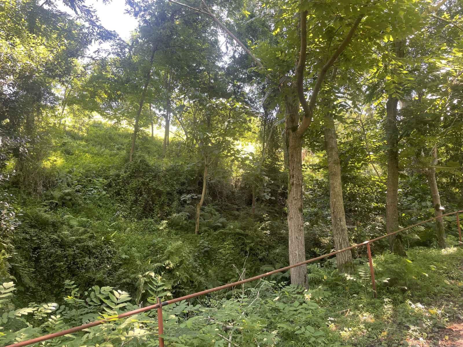 Land For Sale In Batumi, 979 M² For $97,900 view 3