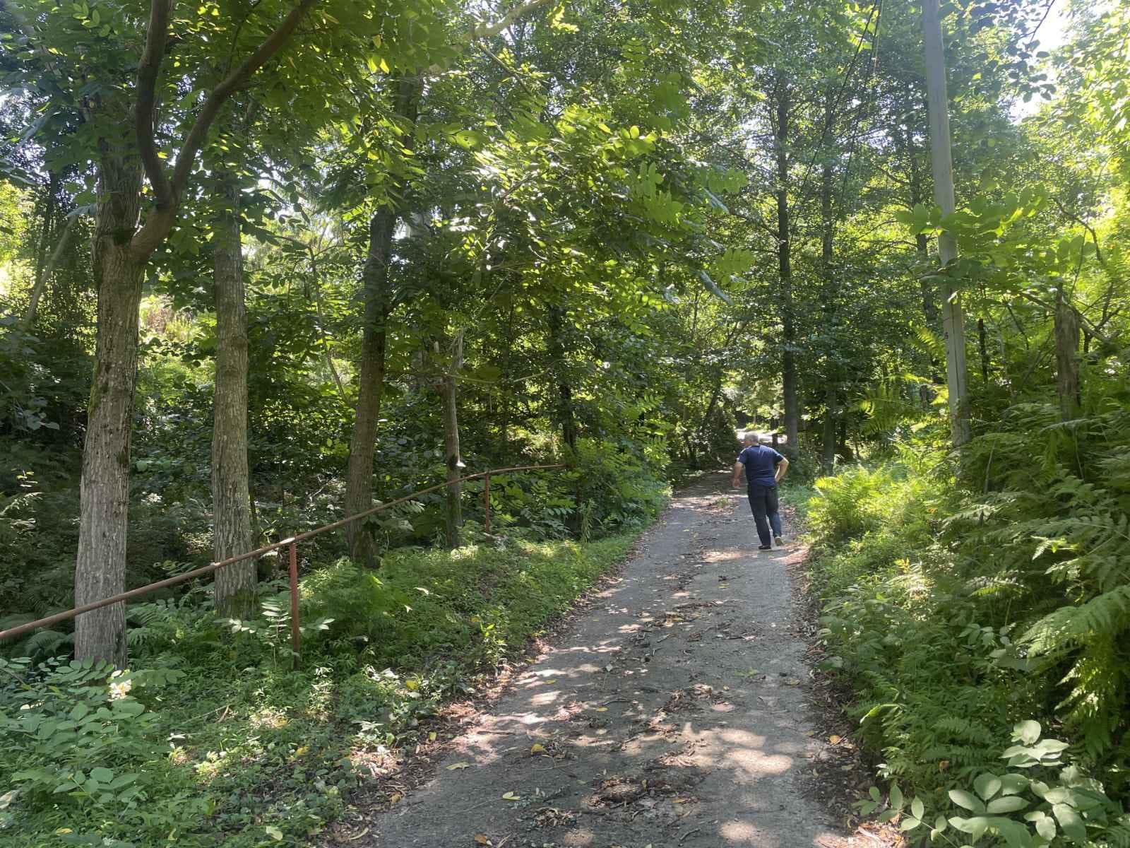 Land For Sale In Batumi, 979 M² For $97,900 view 7