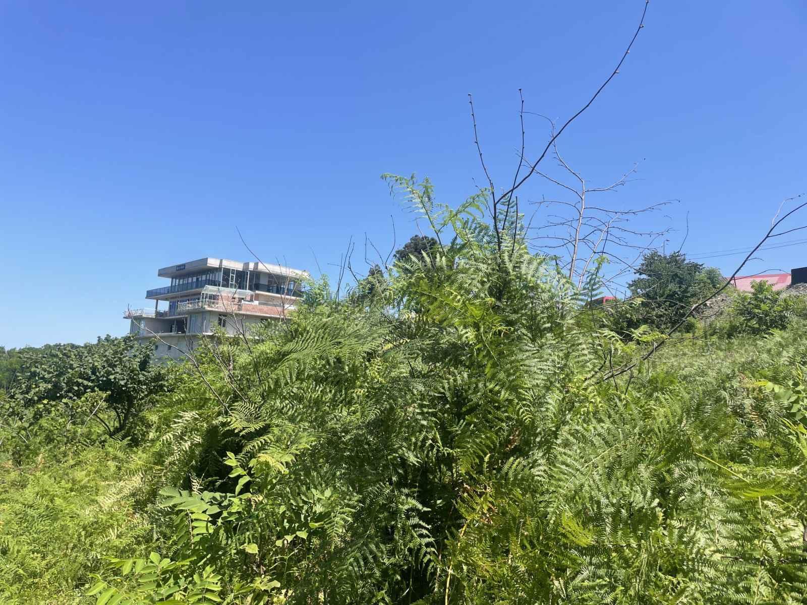 Land For Sale In Batumi, 979 M² For $97,900 view 6