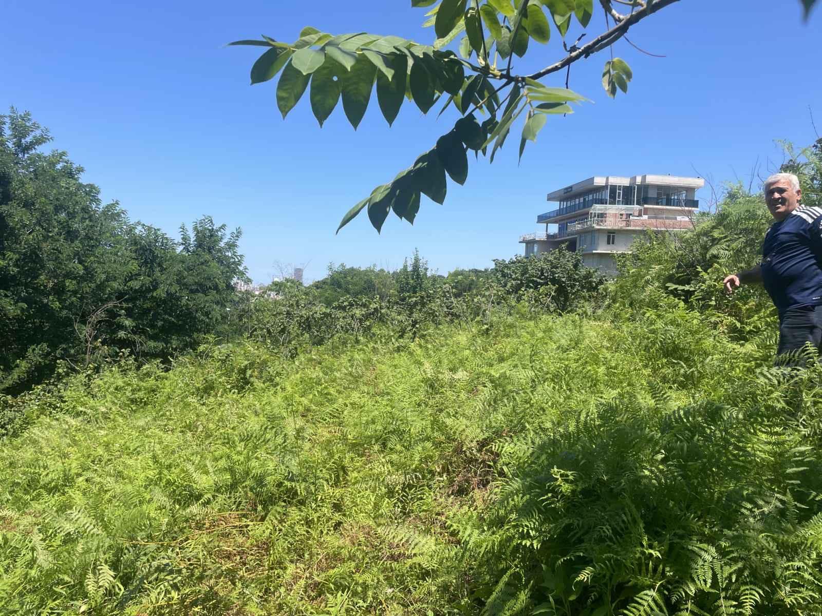 Land For Sale In Batumi, 979 M² For $97,900 view 8