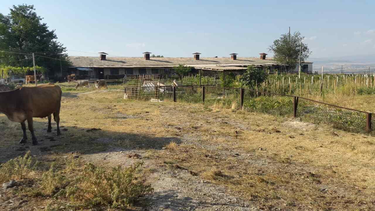 Ponichala, 3: Plot, None M² | Korter.Ge view 4