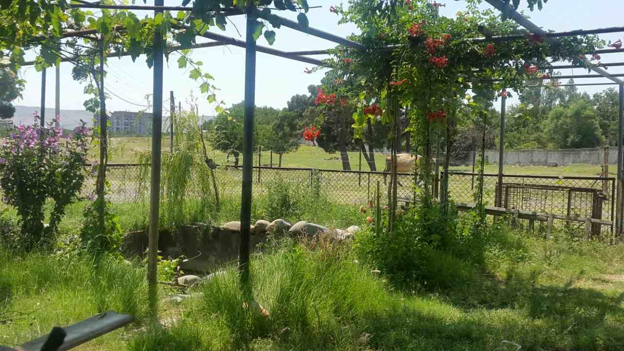 Ponichala, 3: Plot, None M² | Korter.Ge view 7