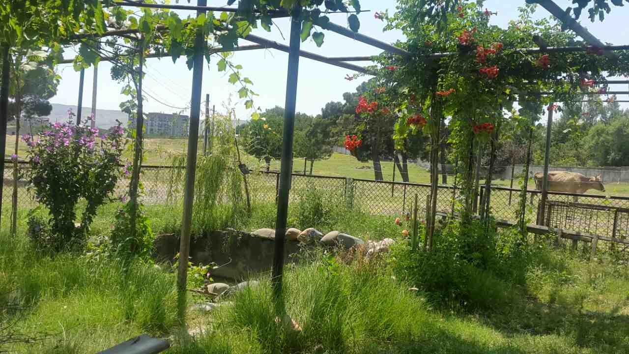 Ponichala, 3: Plot, None M² | Korter.Ge view 11