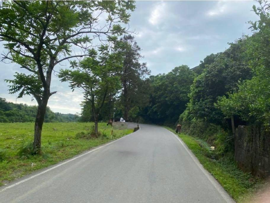 Land For Sale In Chakvi, 2,000 M² For $190,000 view 3