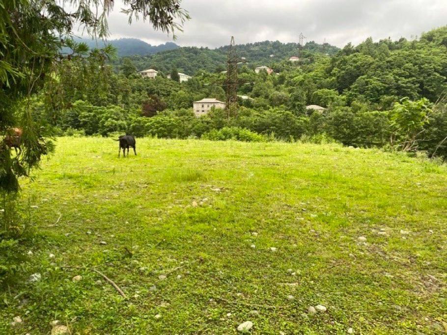 Land For Sale In Chakvi, 2,000 M² For $190,000 view 4