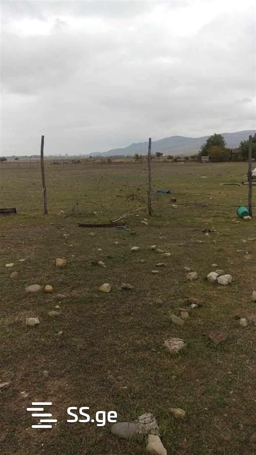 Rustavi Highway, Gzatketsili: Plot, None M² | Korter.Ge view 1