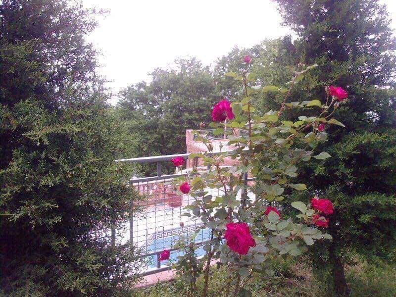 5-Room Country House For Sale In Batumi, Tsminda Nino 1st Dead End, 10 view 8