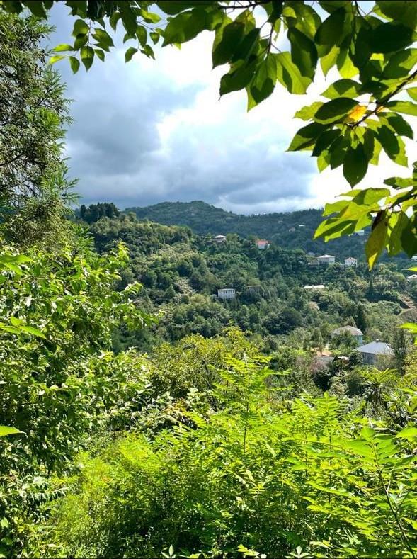 Land For Sale In Batumi, 1,300 M² For $95,000 view 4