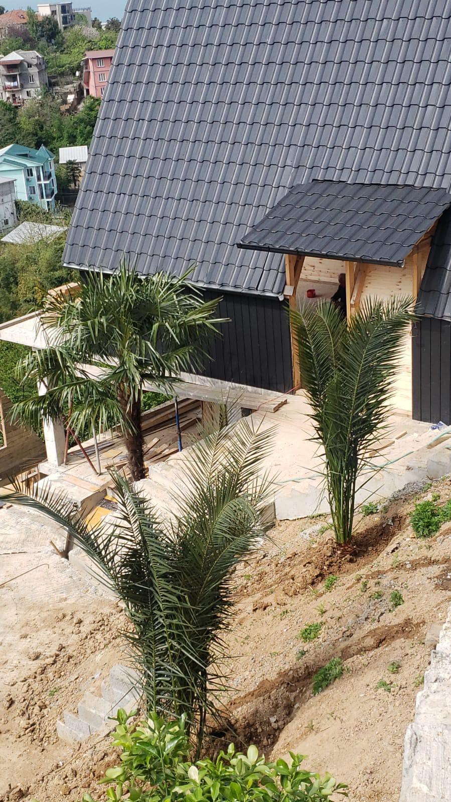 Commercial Property For Sale: 2,000 M² In Batumi, Tamar Mepe 3rd Lane, 14 – $800,000 view 25