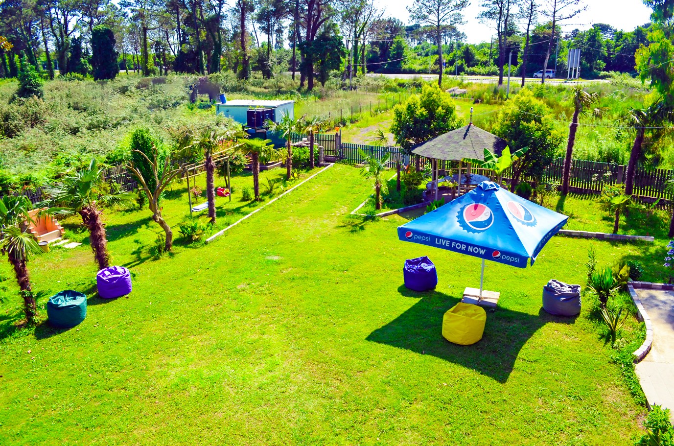 Commercial Property For Sale: 580 M² In Shekvetili, Shekvetili Blek Si Arenasa Da Tsitsinatelas Shoris – $300,000 view 12