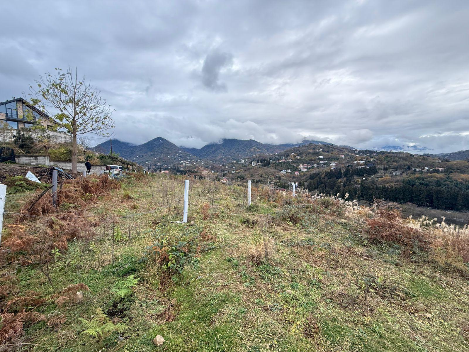 Land For Sale In Batumi, 2,727 M² For $220,000 view 4