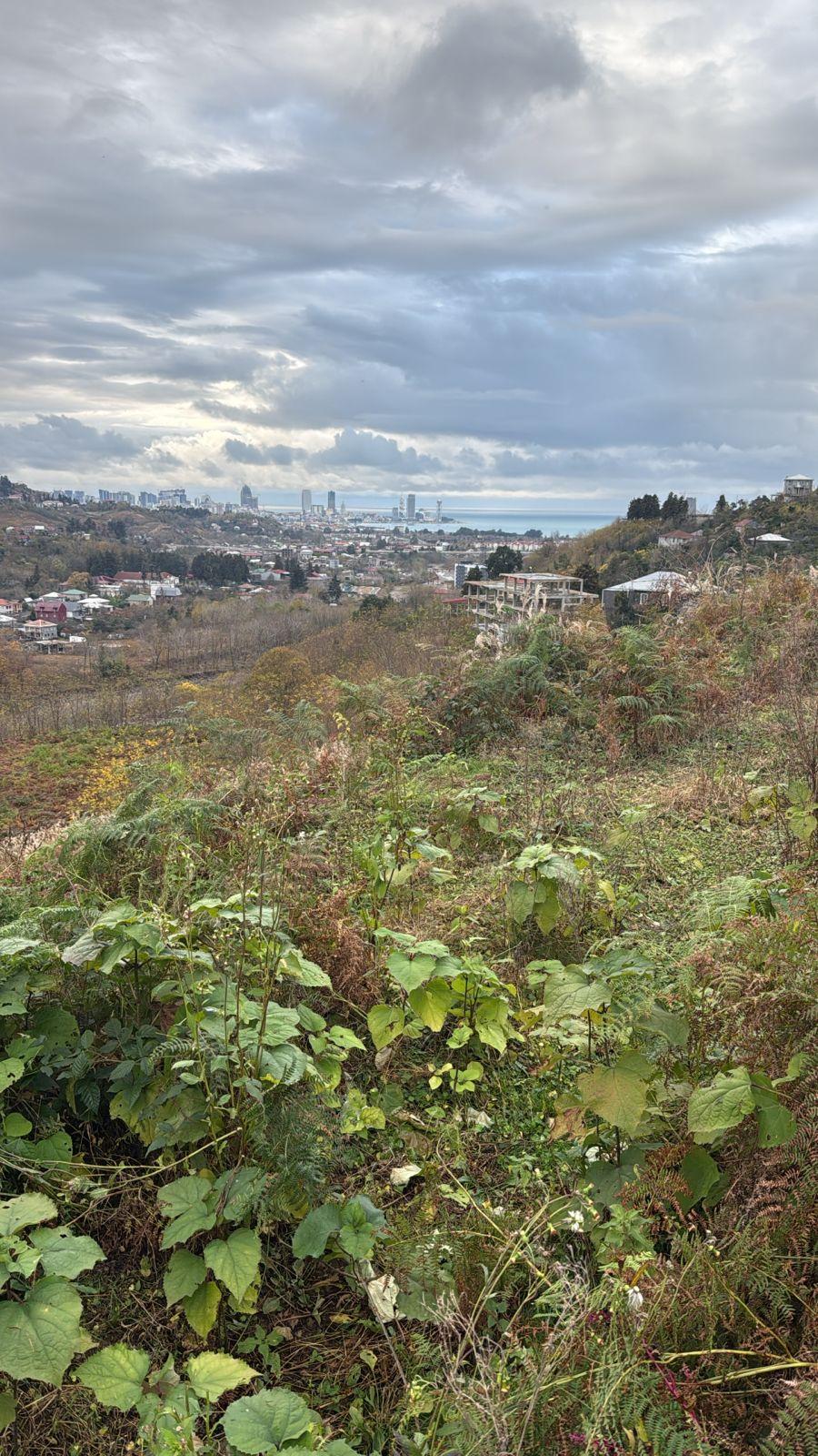 Land For Sale In Batumi, 2,727 M² For $220,000 view 6