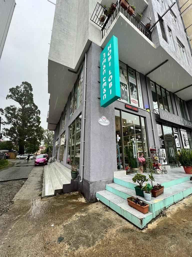 Commercial Property For Sale: 70 M² In Batumi, Fridon Khalvashi Ave, 71 – $100,000 view 9