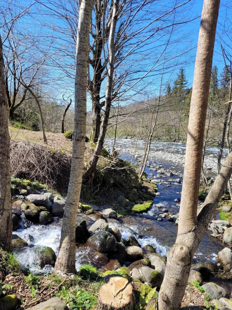 იყიდება მიწა In Chakvi, 1, 709 M² For $130, 000ში view 7