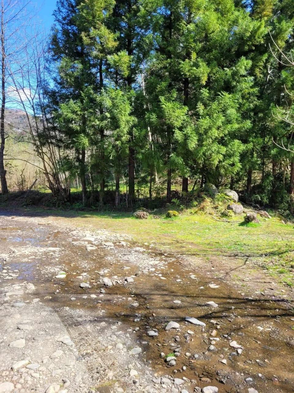 იყიდება მიწა In Chakvi, 1, 709 M² For $130, 000ში view 6