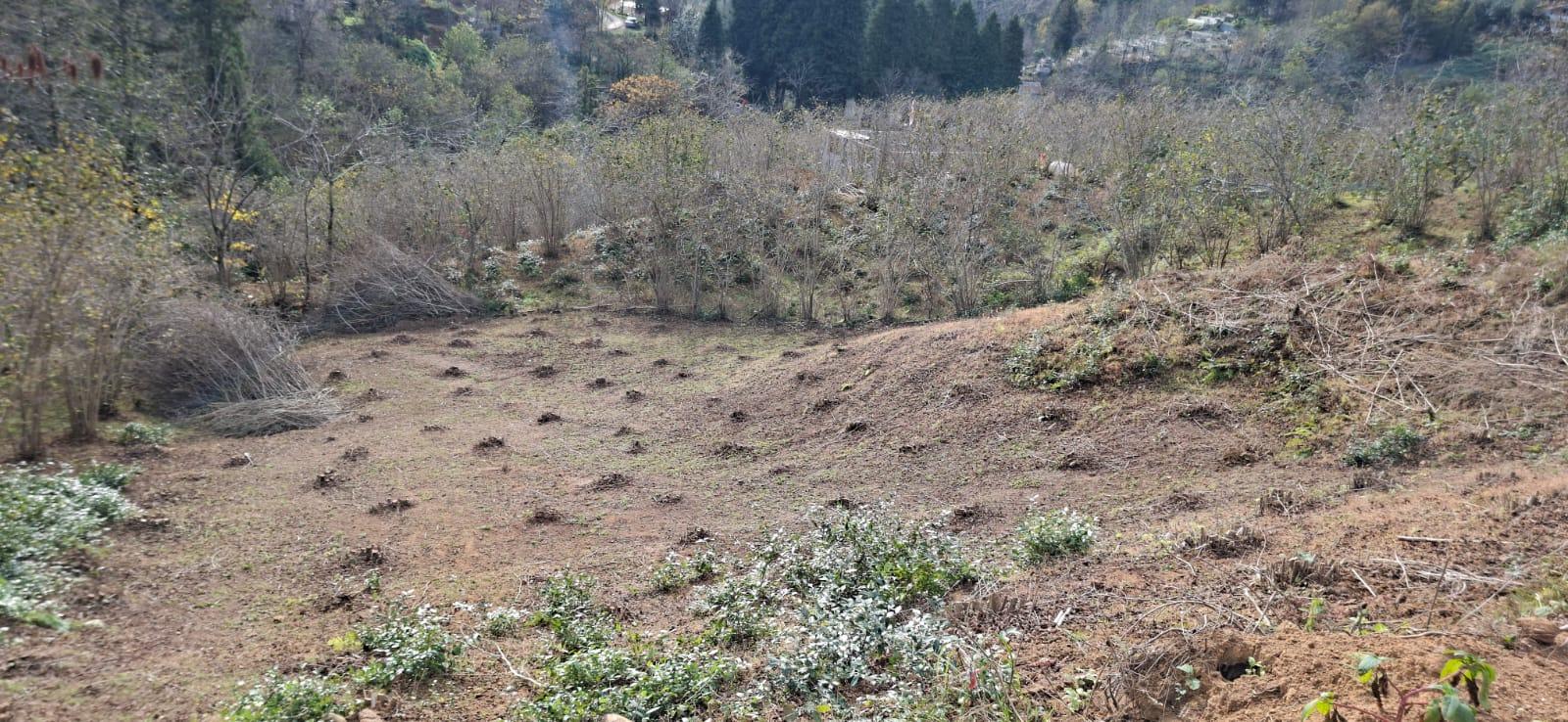 Land For Sale In Batumi, 1,534 M² For $62,000 view 6