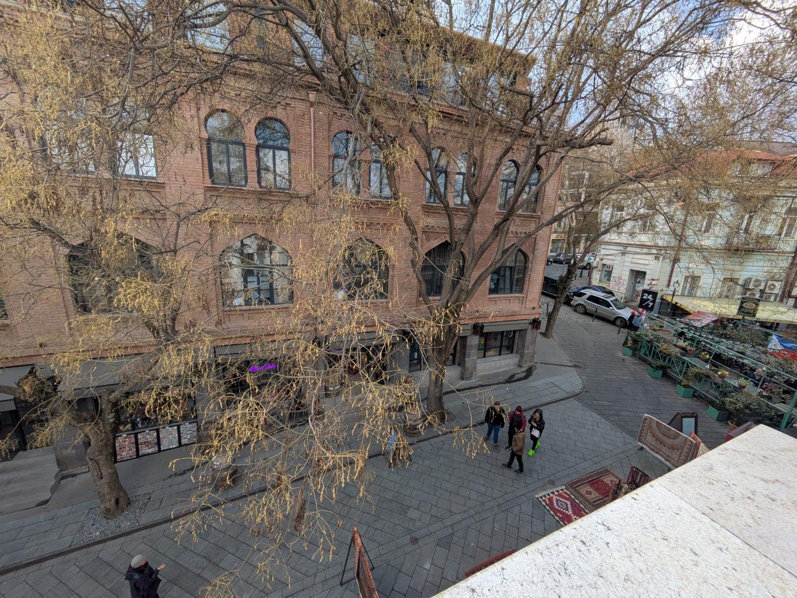 Aleksandre Chikvaidze St, 1: Commercial Property, 140.0 M² | Korter.Ge view 10