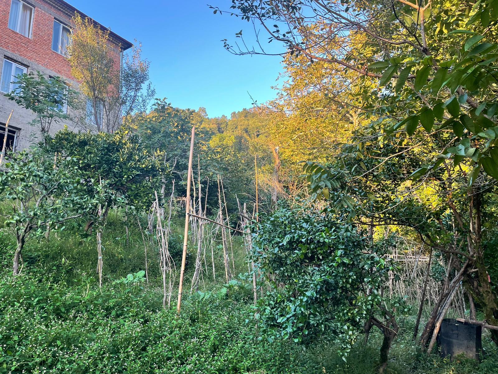 4-Room House For Sale In Batumi, Senaki — Poti — Sarpi, 5 view 4