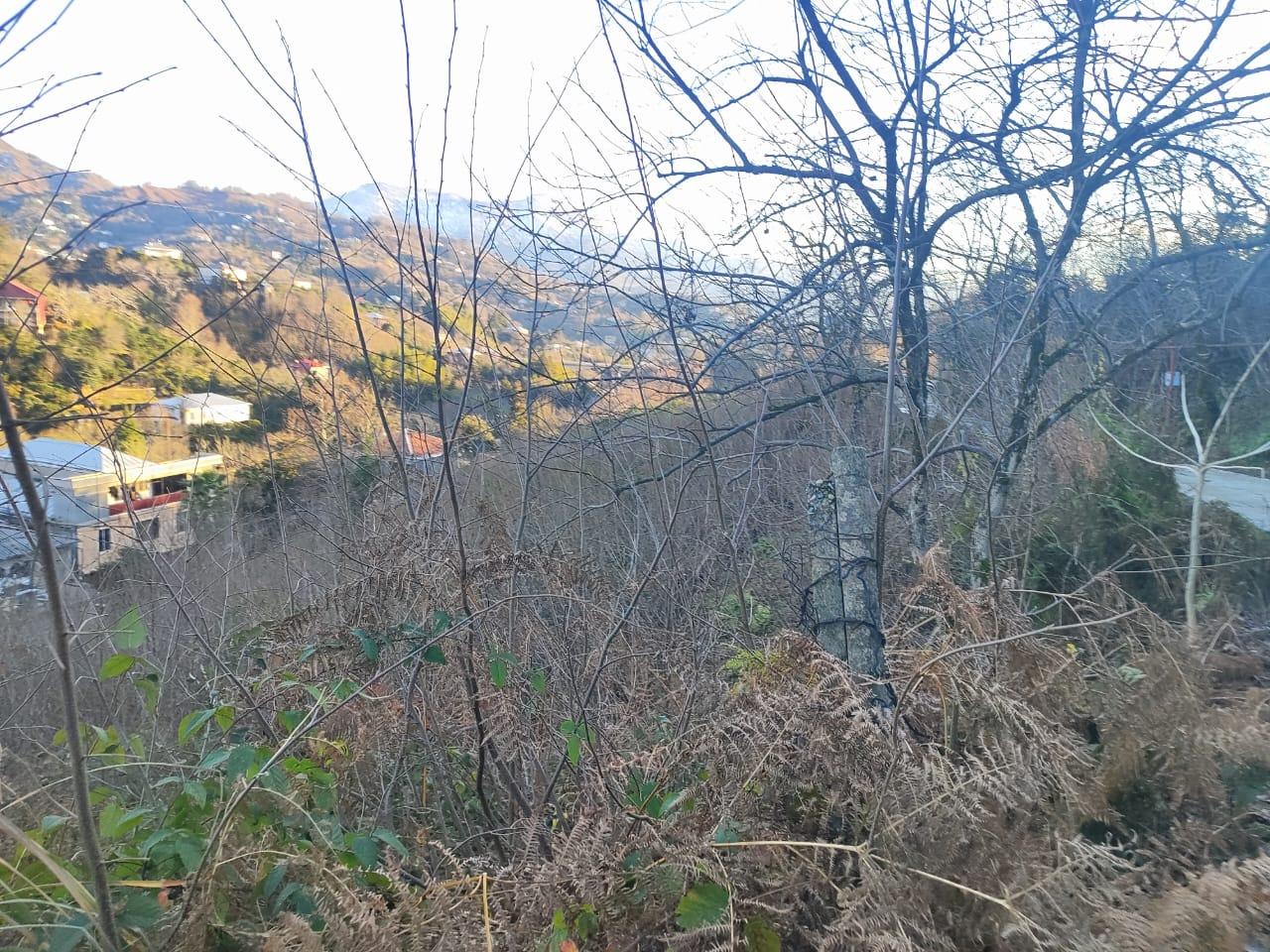 Land For Sale In Chakvi, 1,500 M² For $52,000 view 2