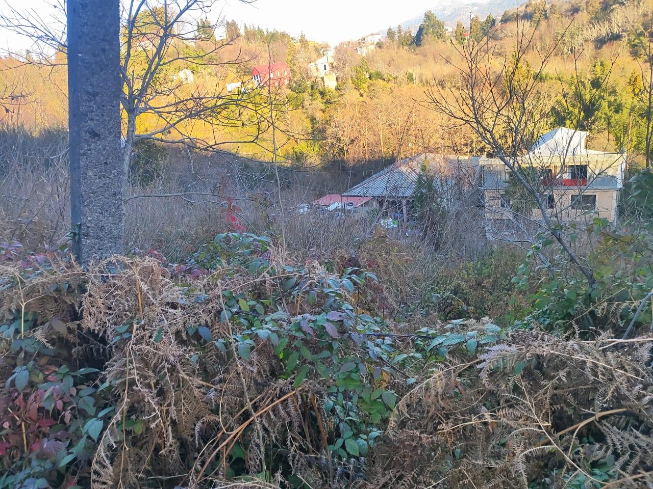 Land For Sale In Chakvi, 1,500 M² For $52,000 view 5