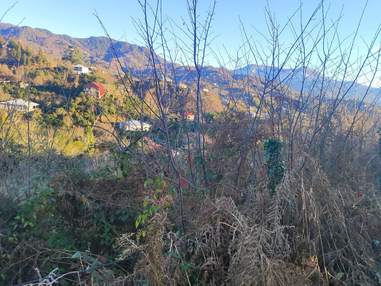 Land For Sale In Chakvi, 1,500 M² For $52,000 view 6