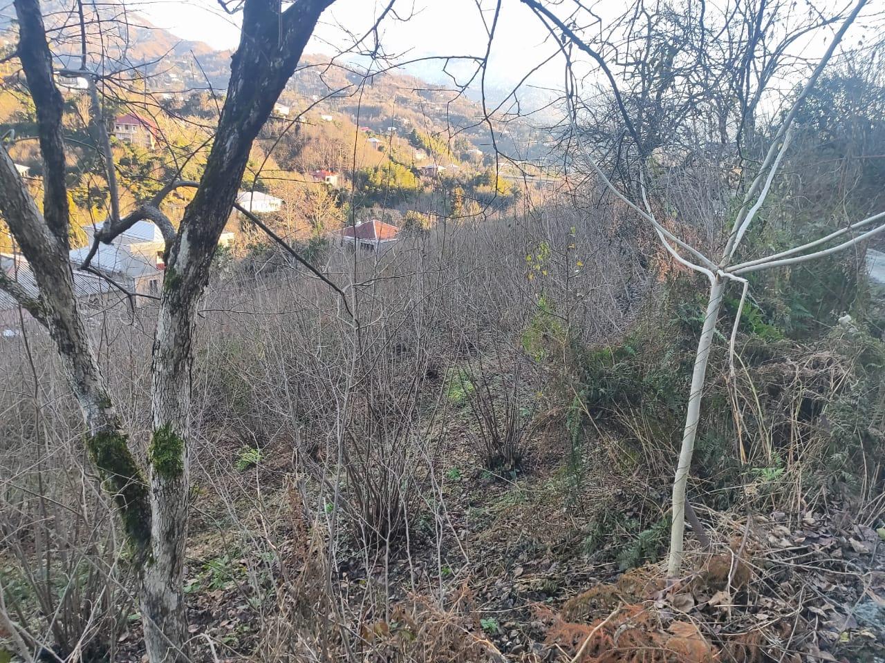 Land For Sale In Chakvi, 1,500 M² For $52,000 view 7