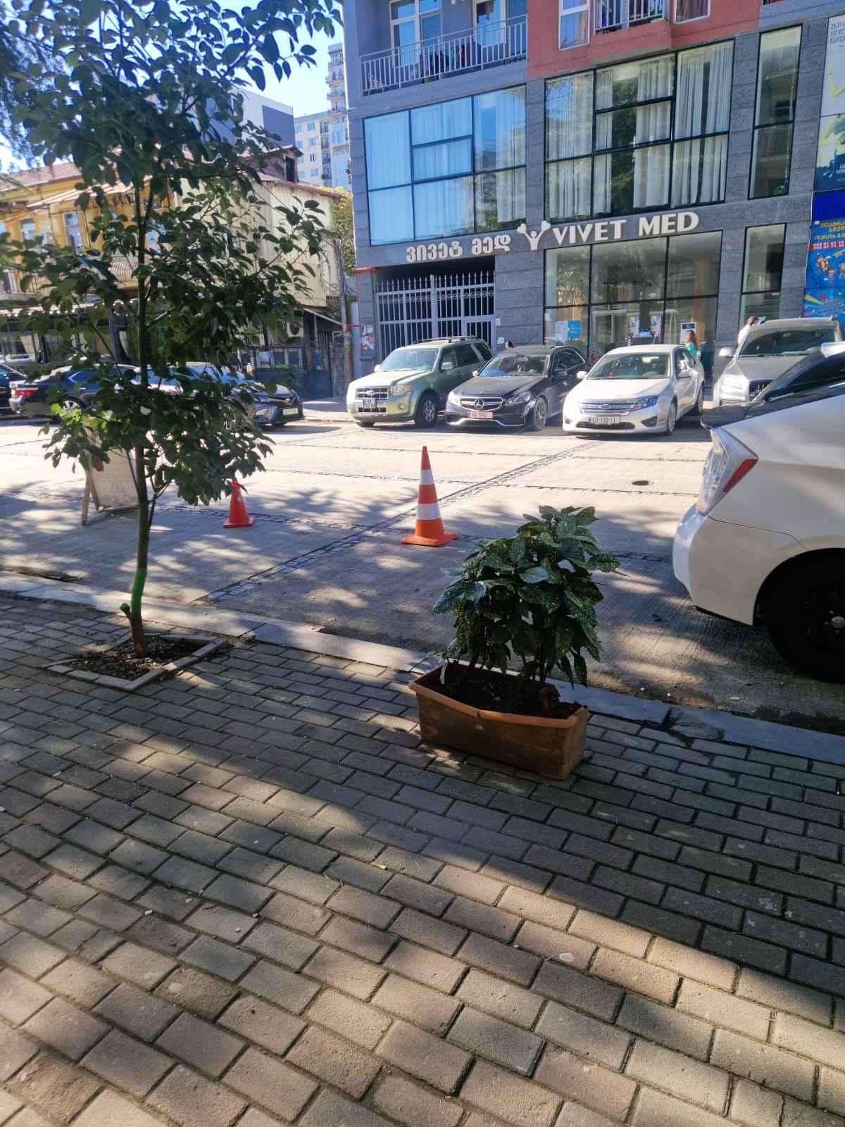 Commercial Property For Sale: 160 M² In Batumi, Ilia Chavchavadze St, 93 – $420,000 view 1