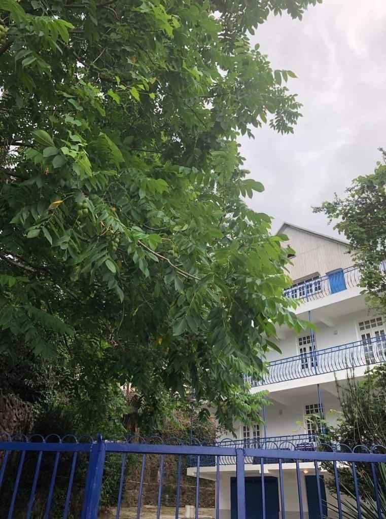 5-Room House For Sale In Batumi, Mardi Hills view 16