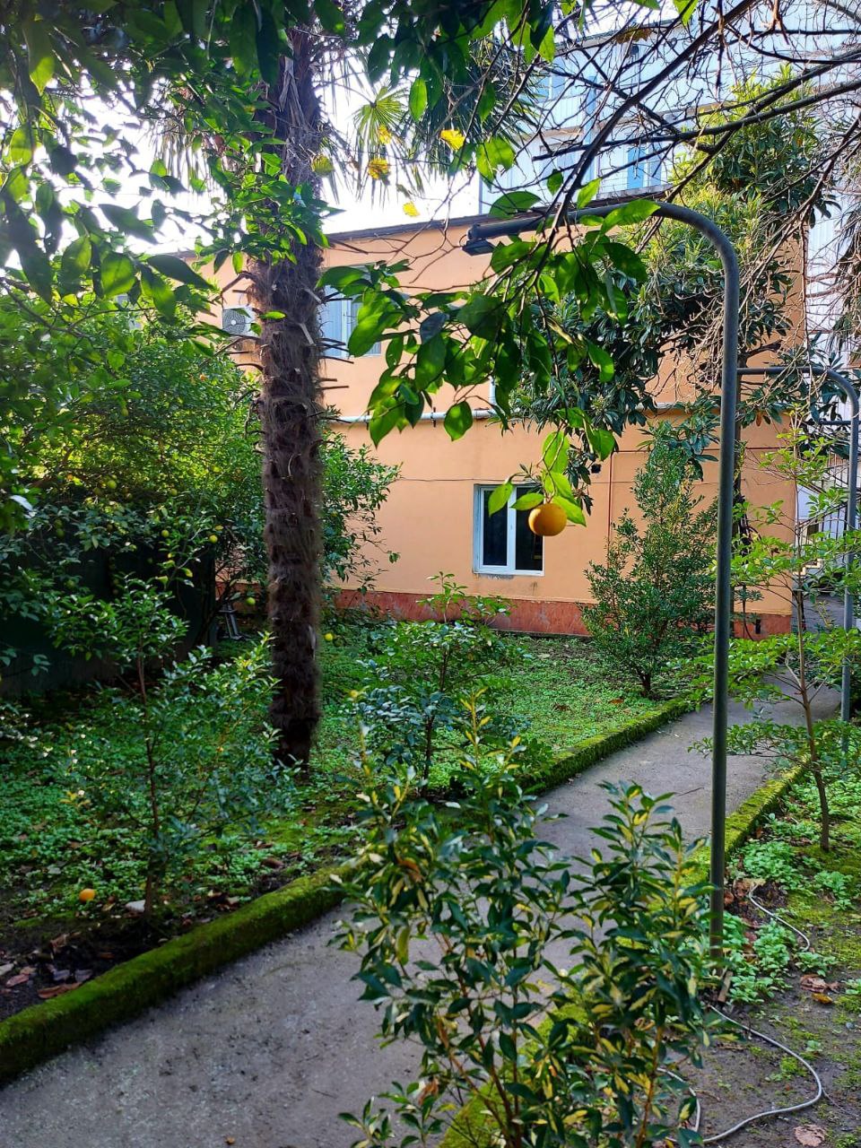 Commercial Property For Sale: 259 M² In Gonio, Montemar – $335,000 view 12