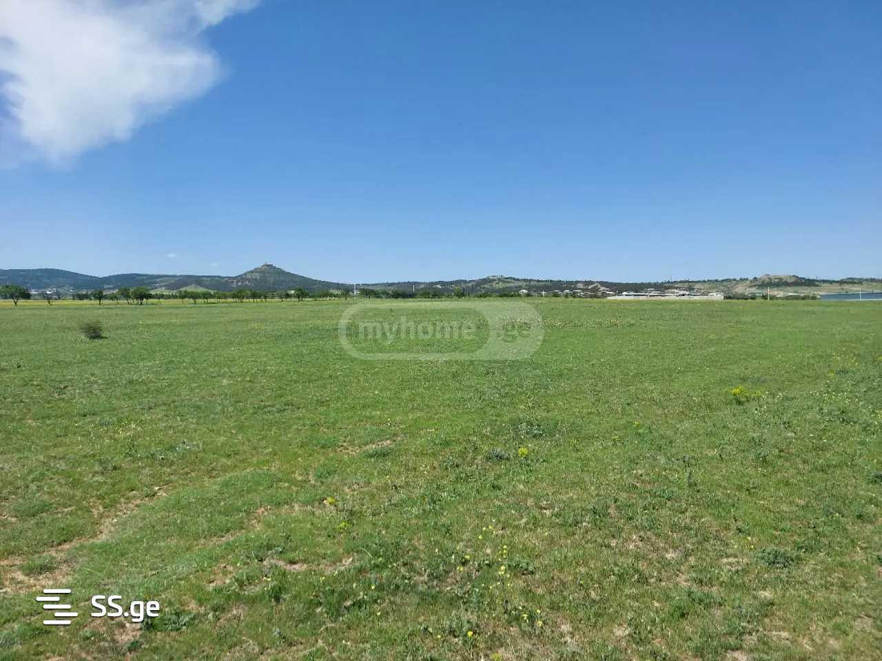 NONAGRICULTURAL TELETI FONICHALA, 16: Plot, None M² | Korter.Ge view 1