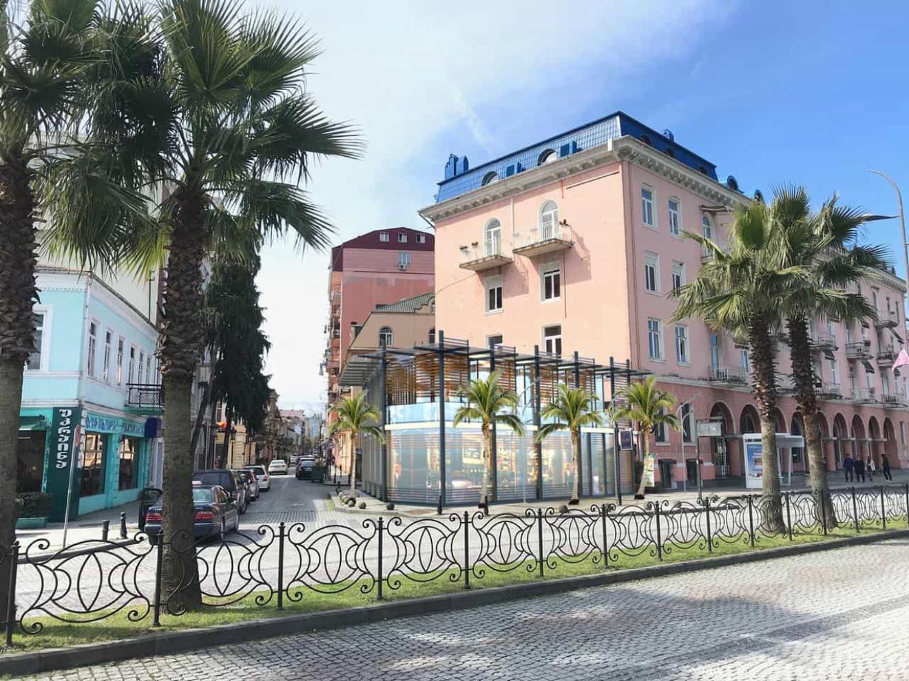 Commercial Property For Sale: 500 M² In Batumi, Iakob Gogebashvili St, 2 – $1,800,000 view 16