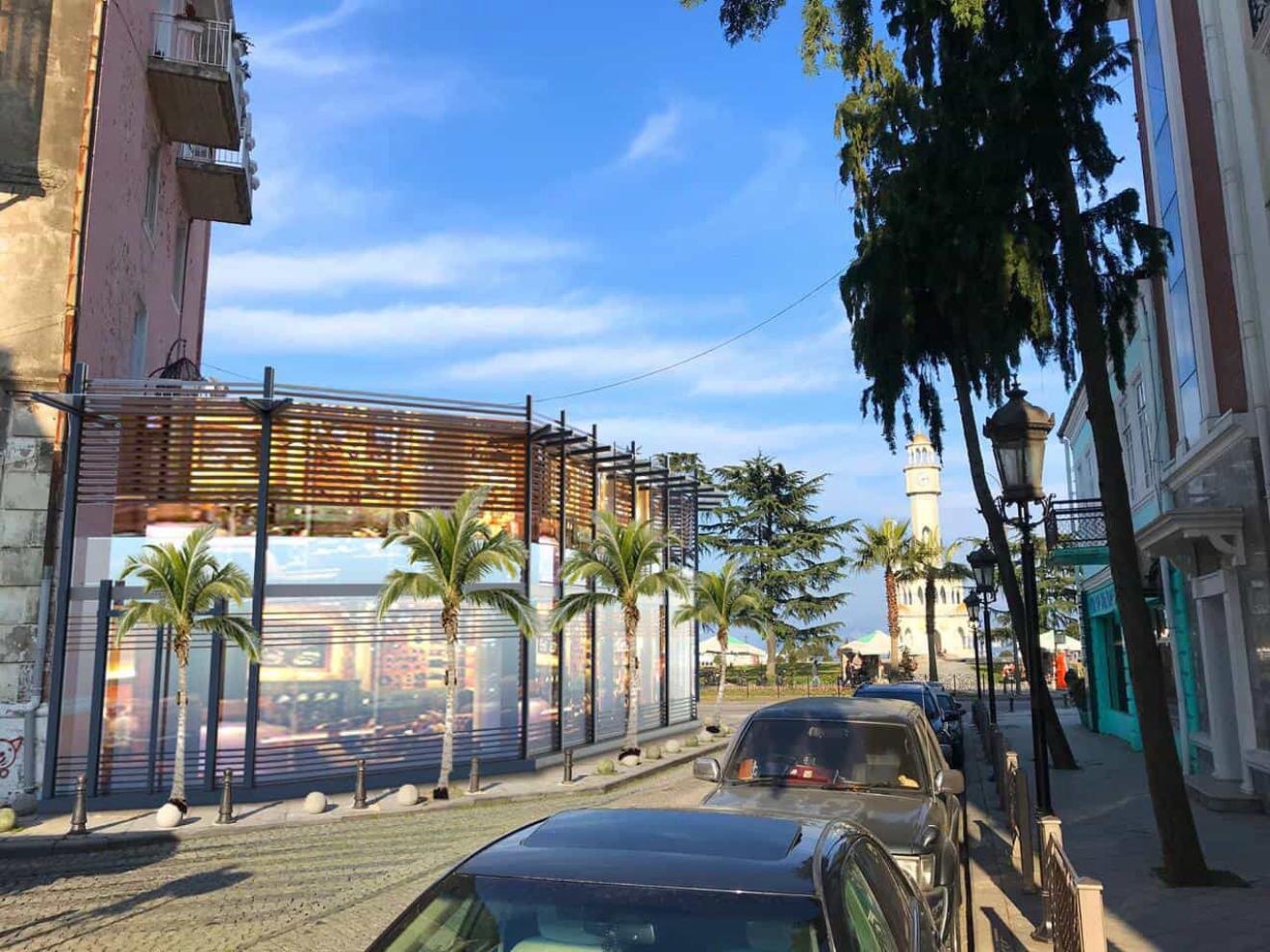 Commercial Property For Sale: 500 M² In Batumi, Iakob Gogebashvili St, 2 – $1,800,000 view 17