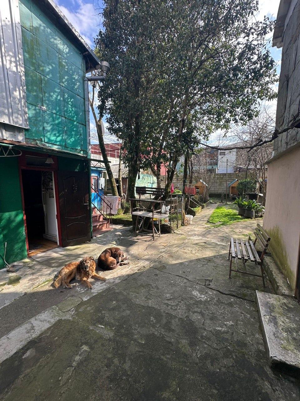 Land For Sale In Batumi, 458 M² For $450,000 view 2