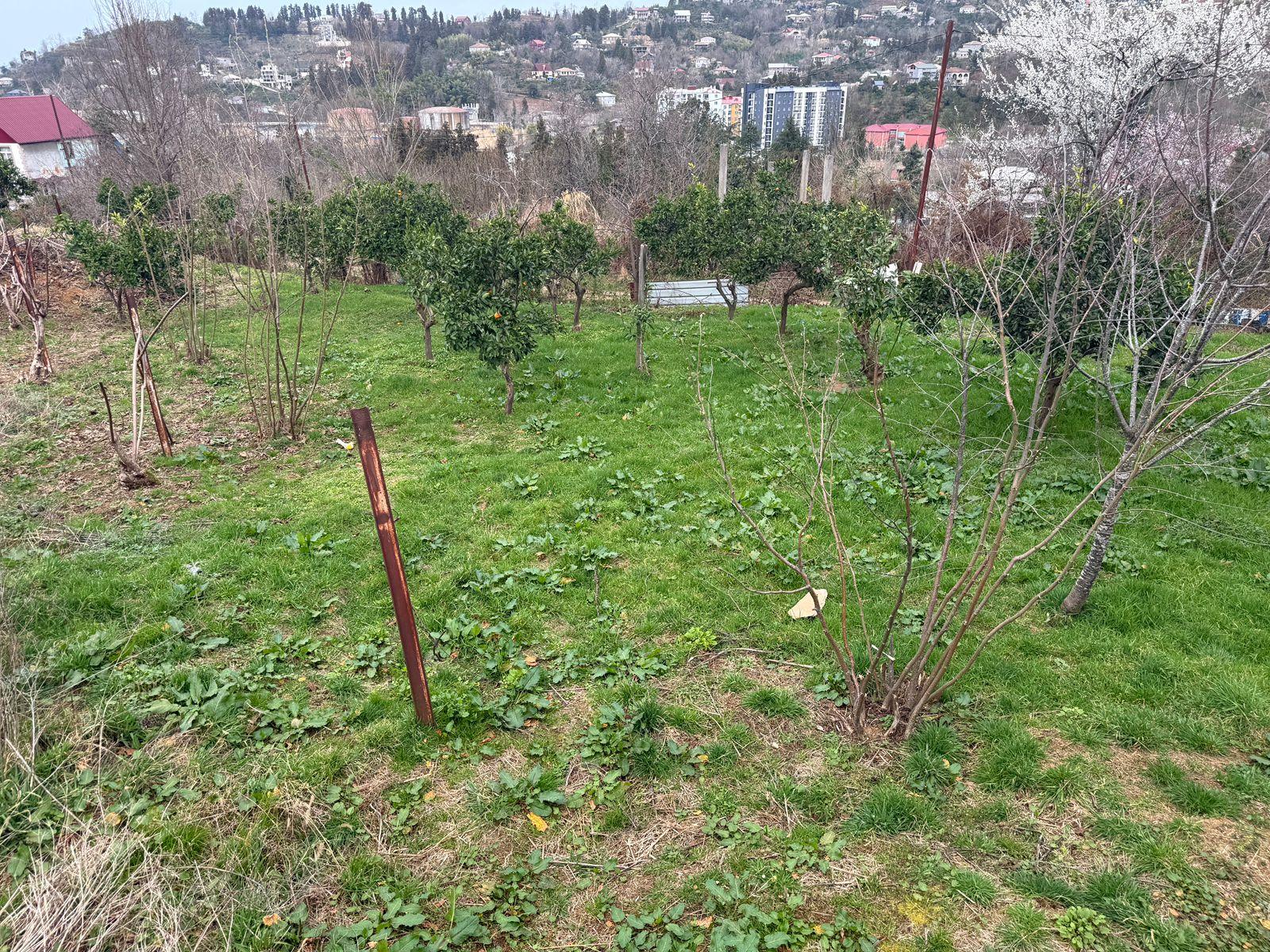 Land For Sale In Batumi, 1,172 M² For $175,000 view 4