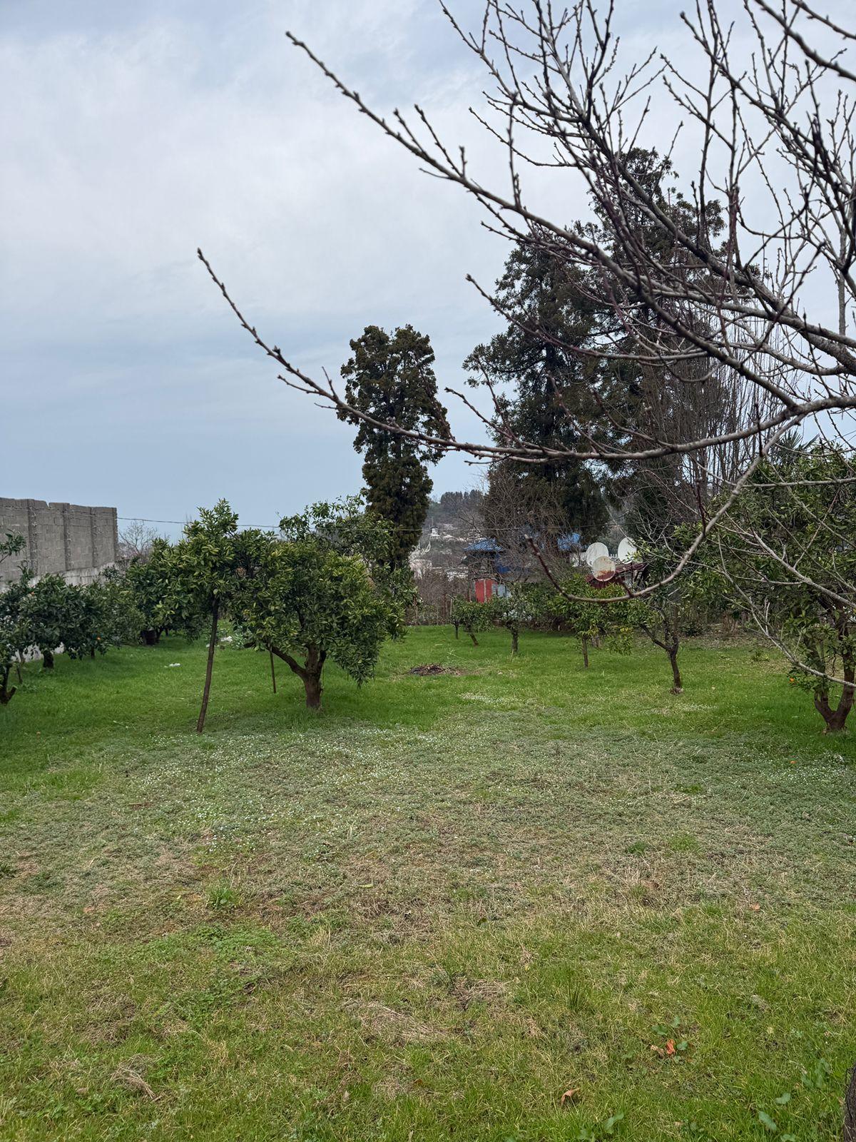 Land For Sale In Batumi, 1,172 M² For $175,000 view 2