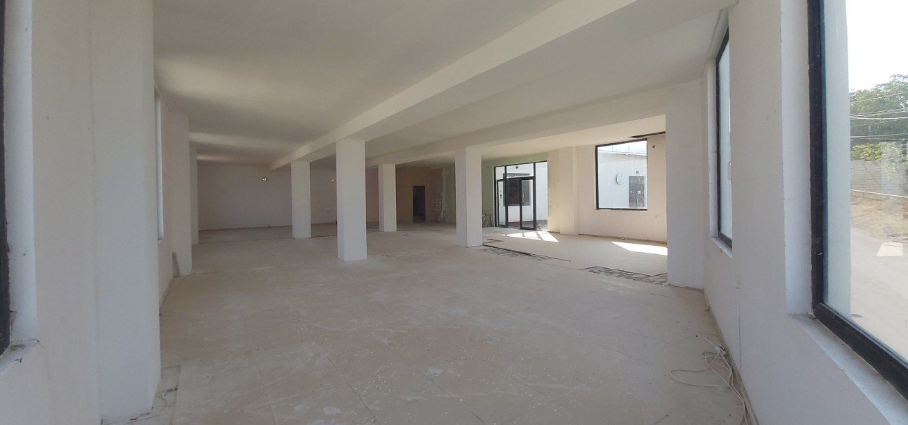 Commercial Property For Sale: 1,068 M² In Tsavkisi, David Aghmashenebeli St – $680,000 view 11