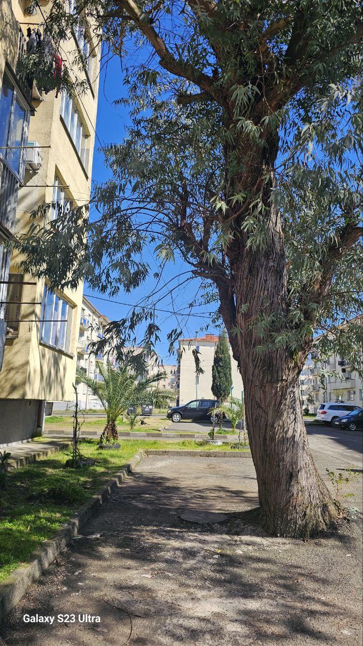1-Room Apartment For Sale In Poti, Gagra St, 14 view 1