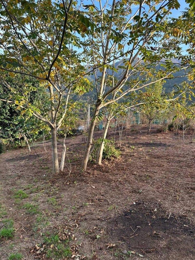 Land For Sale In Batumi, 1,280 M² For $83,200 view 1