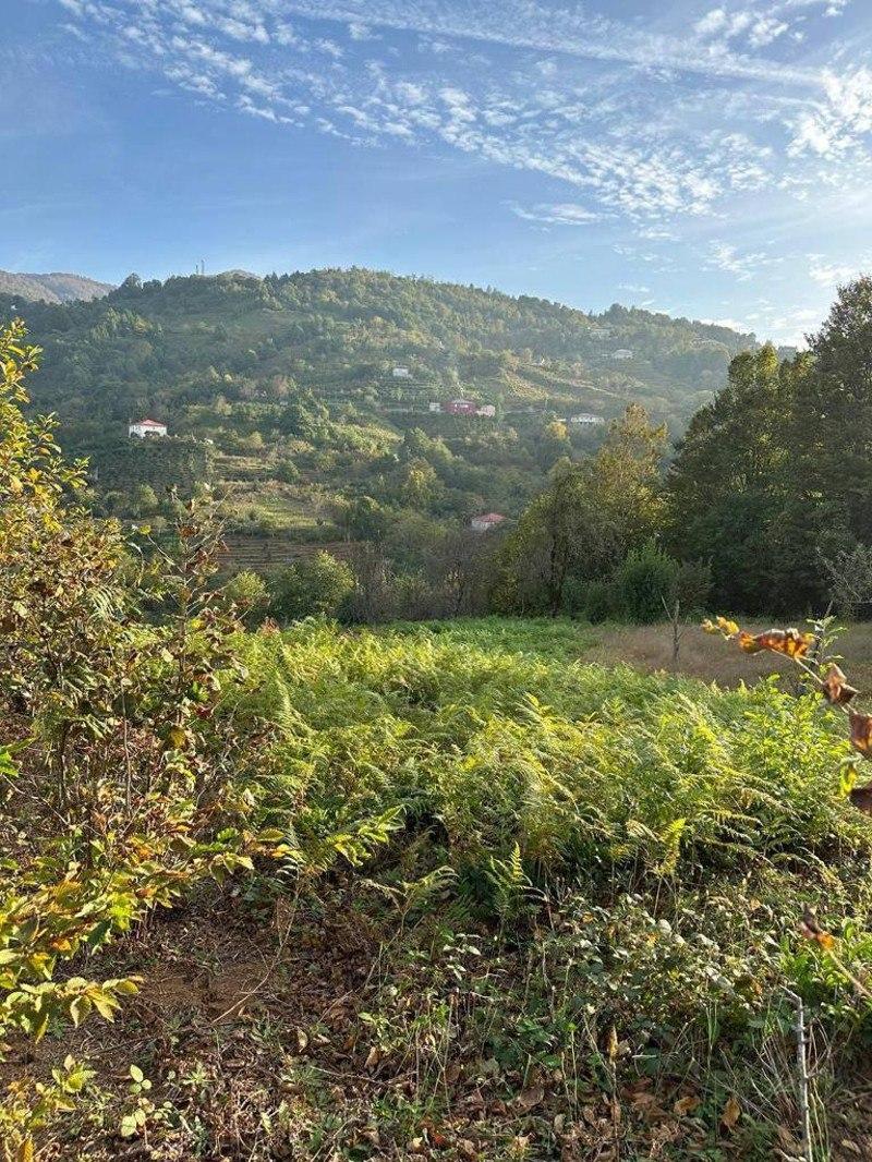 Land For Sale In Batumi, 1,280 M² For $83,200 view 2